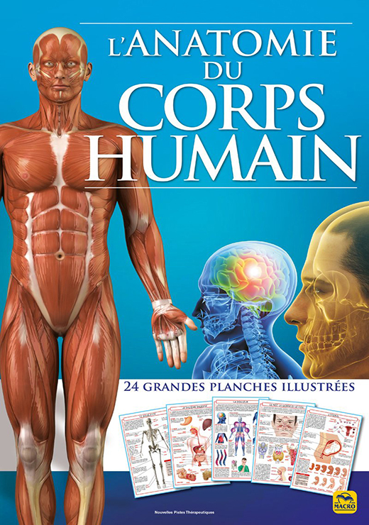 L'anatomie du corps humain - Publication Dreamland