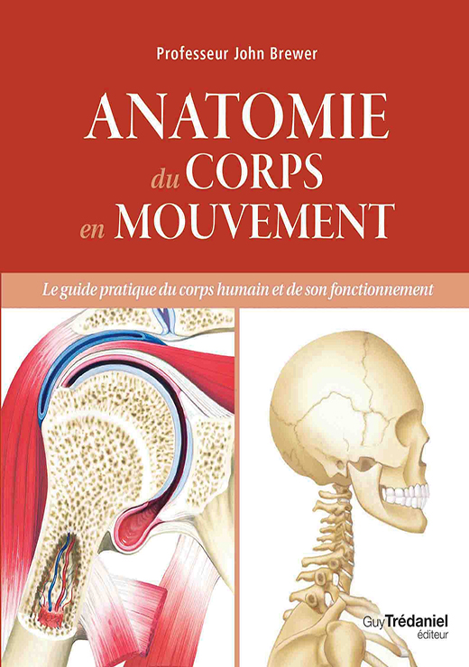 Anatomie du corps en mouvement