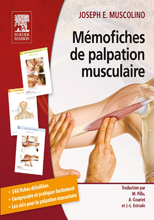 Mémofiches de palpation musculaire - Michel Pillu, Annie Gouriet, Jean-Louis Estrade